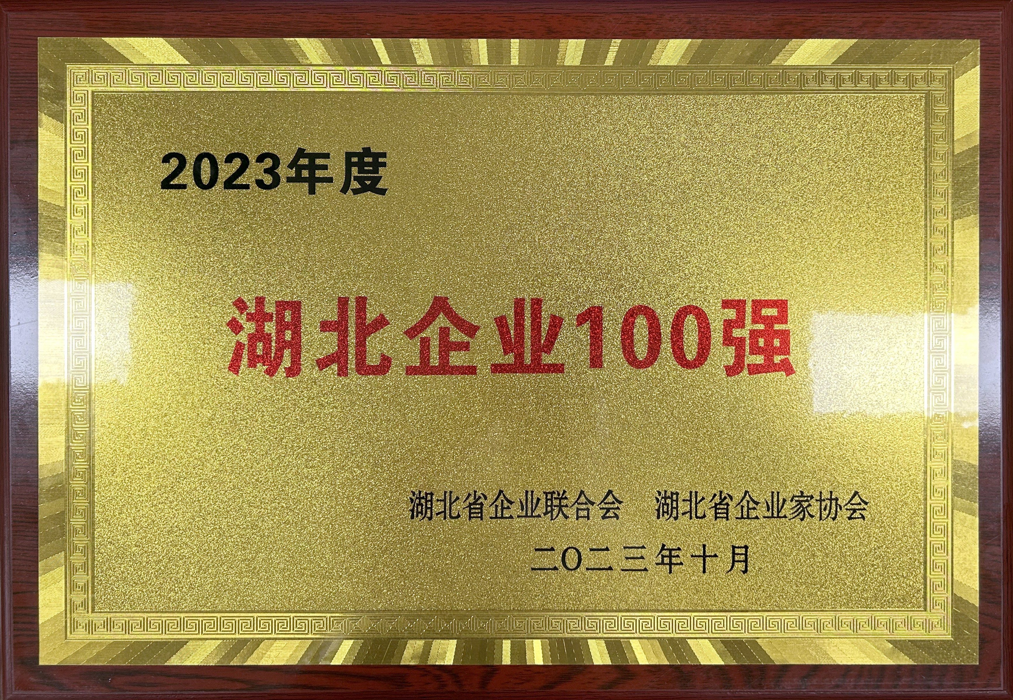 2023年度湖北企業(yè)100強